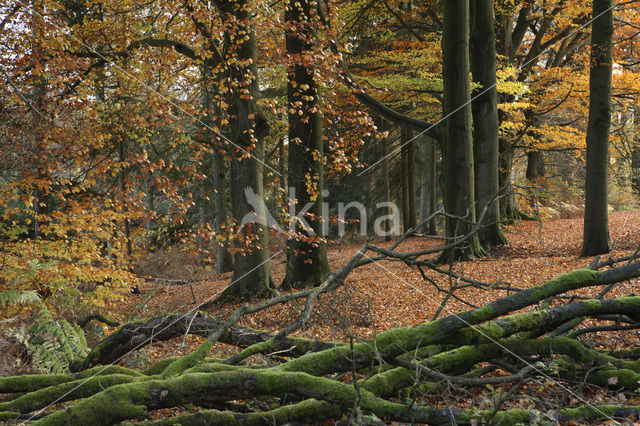 Nationaal Park Veluwezoom