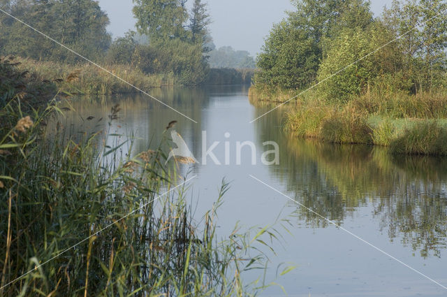 Nationaal Park Weerribben-Wieden