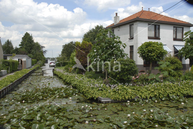 Reeuwijkse Plassen