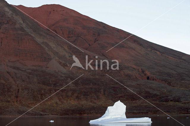 Rypefjord