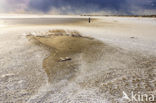 Nationaal Park Duinen van Texel