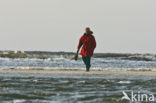 Nationaal Park Duinen van Texel 