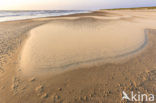 Nationaal Park Duinen van Texel 