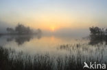 Veluwe