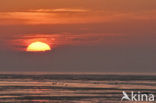 Waddenzee