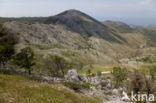 Mount Pantokrator