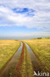 Nationaal park Schiermonnikoog