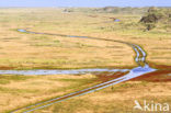 Nationaal park Schiermonnikoog