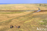 Nationaal park Schiermonnikoog