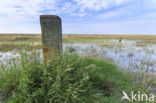 Nationaal park Schiermonnikoog