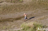 Nationaal park Schiermonnikoog