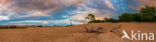 National Park Loonse en Drunense Duinen