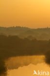 Amsterdamse waterleidingduinen