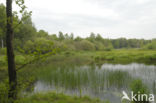 Empese en Tondense Heide