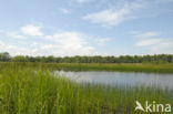 Empese en Tondense Heide