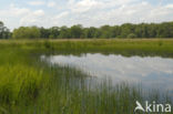 Empese en Tondense Heide