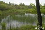 Empese en Tondense Heide