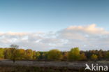 Nationaal Park Dwingelderveld