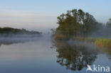 Nieuwkoopse Plassen