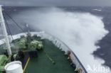 ocean-going vessel