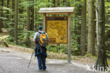Nationaal park Beierse Woud