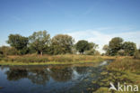 Empese en Tondense Heide