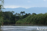 Reserva Ecologica Tingana