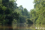 Reserva Nacional Pacaya Samiria