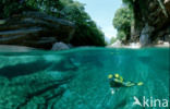 Valle Verzasca