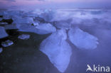 Jokulsarlon