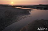 Nationaal Park Duinen van Texel 