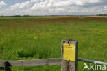 Nationaal Park Weerribben-Wieden