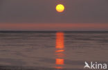 Waddenzee