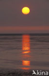 Waddenzee