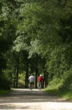 Nationaal Park Dwingelderveld