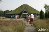 Nationaal Park Dwingelderveld