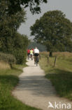 Nationaal Park Dwingelderveld