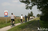 Nationaal Park Dwingelderveld