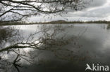 Nationaal Park De Alde Feanen