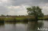 Nationaal Park De Alde Feanen