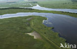 Nationaal Park Lauwersmeer