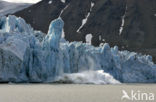 Spitsbergen