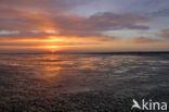 Waddenzee