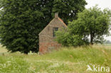 Nationaal Park de Biesbosch