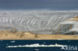 Wahlenbergfjord