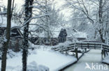 Giethoorn