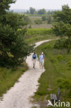 Nationaal Park de Groote Peel