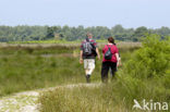 Nationaal Park de Groote Peel