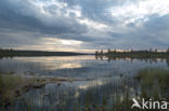 Nationaal Park Fulufjället