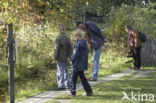 Nationaal Park Veluwezoom